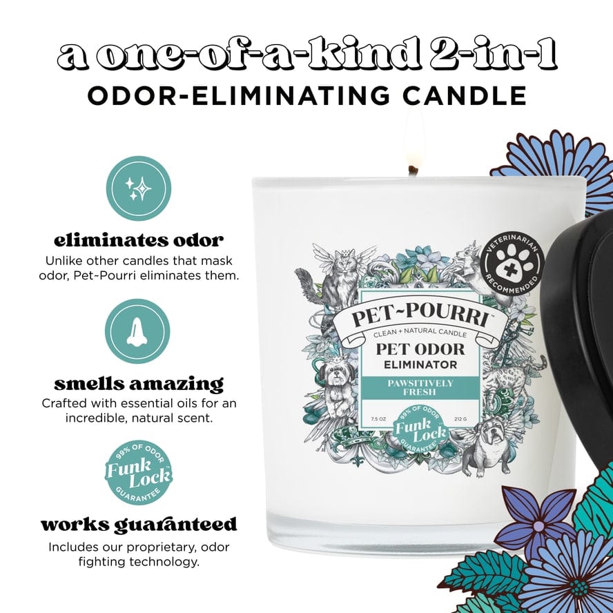 ~Pourri Pet~Pourri Pawsitively Fresh 2-in-1 Pet Candle 7.5oz - Little Miss Muffin Children & Home