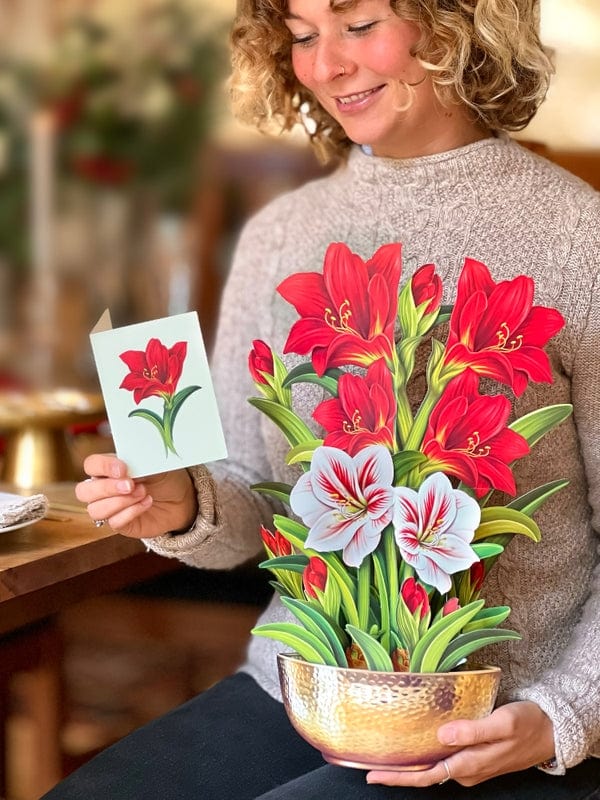 FreshCut Paper FreshCut Scarlet Amaryllis Pop-Up Greeting Card - Little Miss Muffin Children & Home