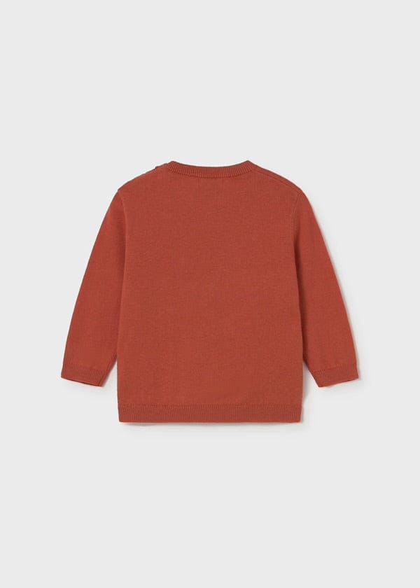 Boys orange sweater with dog 