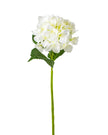 The Royal Standard Cream Hydrangea Stem - Little Miss Muffin Children & Home