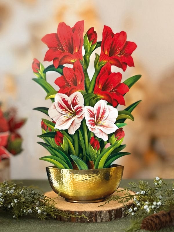 FreshCut Paper FreshCut Scarlet Amaryllis Pop-Up Greeting Card - Little Miss Muffin Children & Home