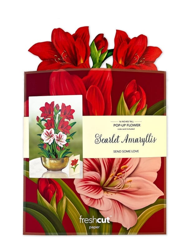FreshCut Paper FreshCut Scarlet Amaryllis Pop-Up Greeting Card - Little Miss Muffin Children & Home