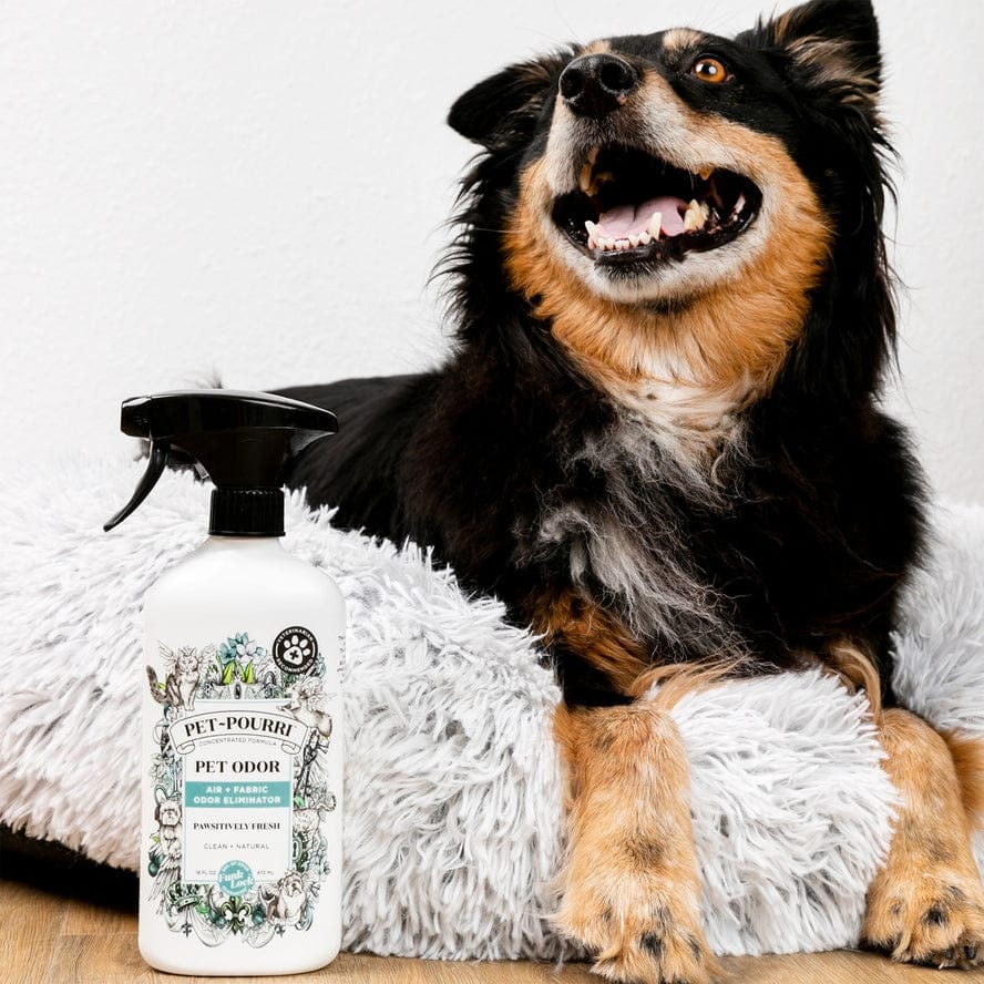 ~Pourri Pet~Pourri Pawsitively Fresh Air+Fabric Odor Refresher 16oz - Little Miss Muffin Children & Home