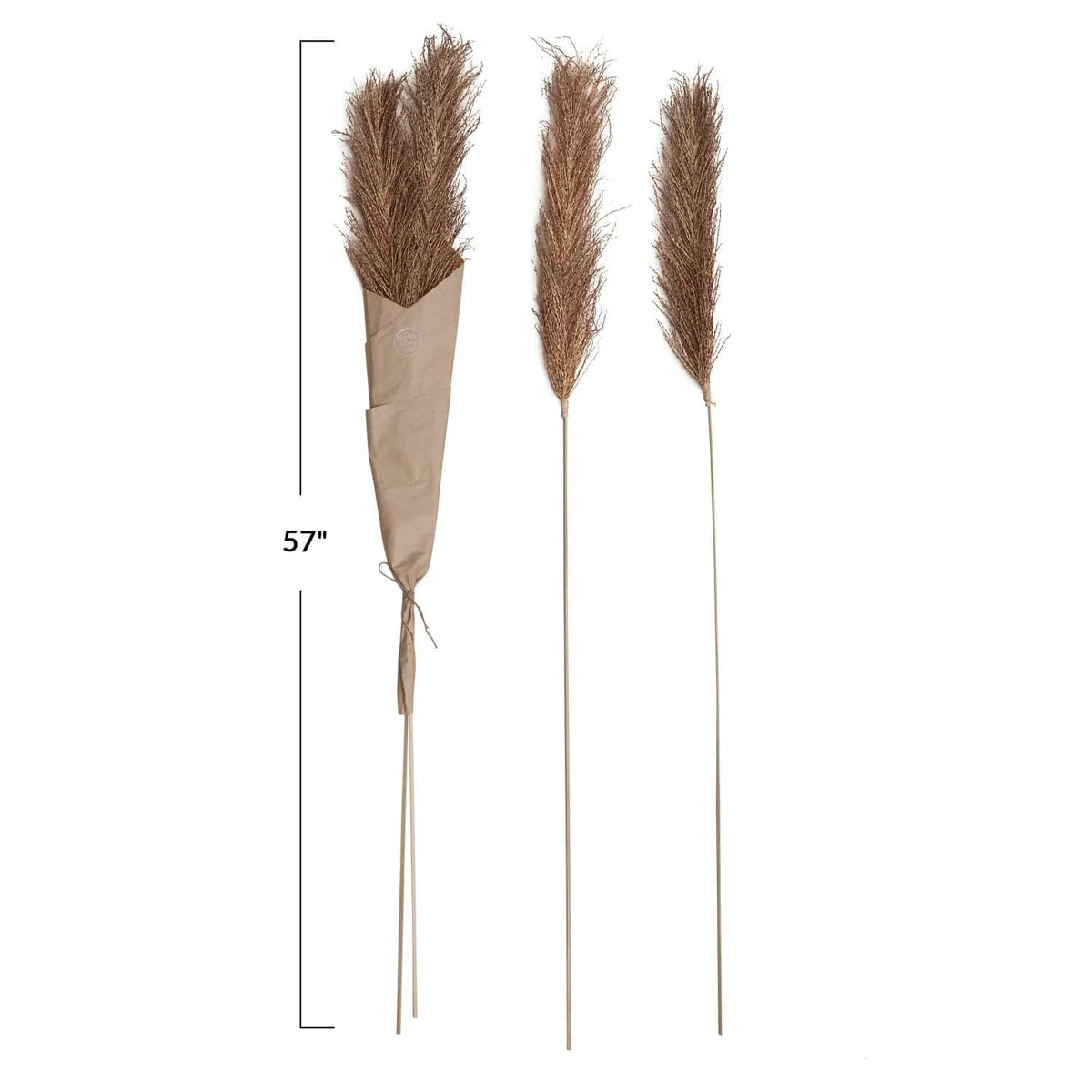 Creative Co-Op Creative Co-op 4 Piece Dried Natural Date Palm Bunch - Little Miss Muffin Children & Home