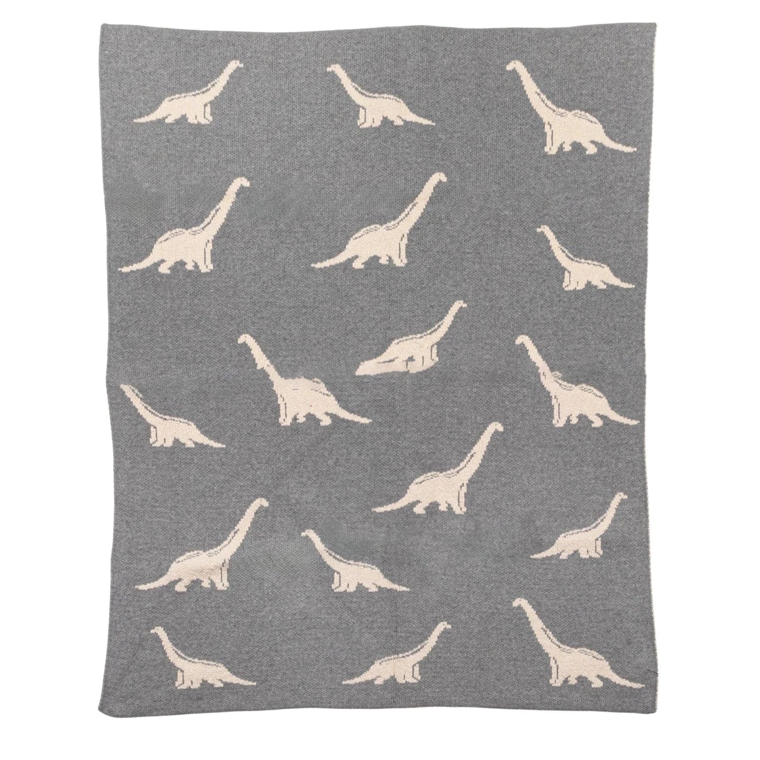 Creative Co-op Cotton Knit Baby Blanket with Dinosaurs - Little Miss Muffin Children & Home