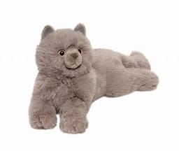 Juliette Grey Persian Cat