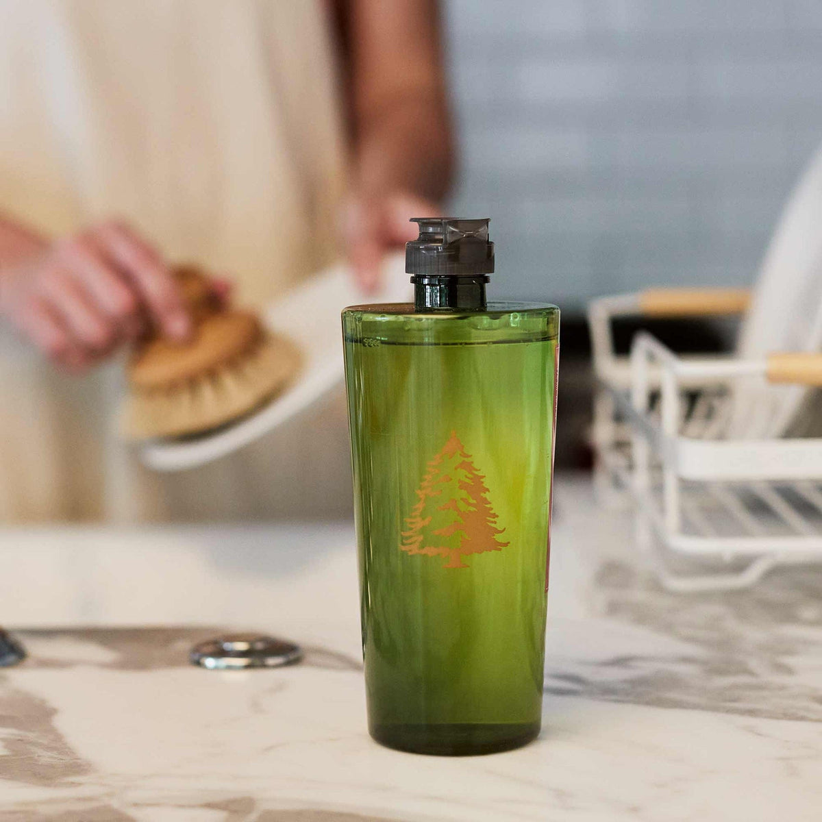 Thymes Frasier Fir Dishwashing Liquid 16 fl oz