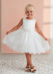 Embroidered Organza Dress