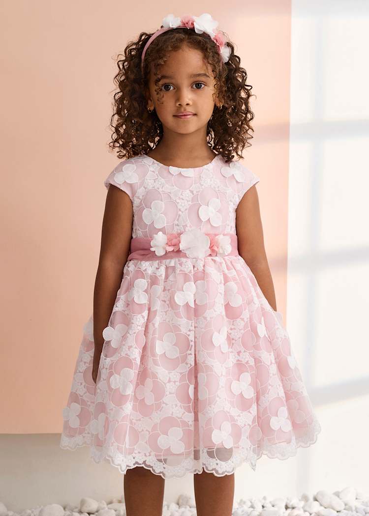 Embroidered Organza Dress with Floral Appliques