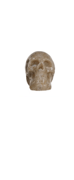 Creative Co-op Resin Skulls, 4 Available Colors, Sold Individually - Little Miss Muffin Children & Home