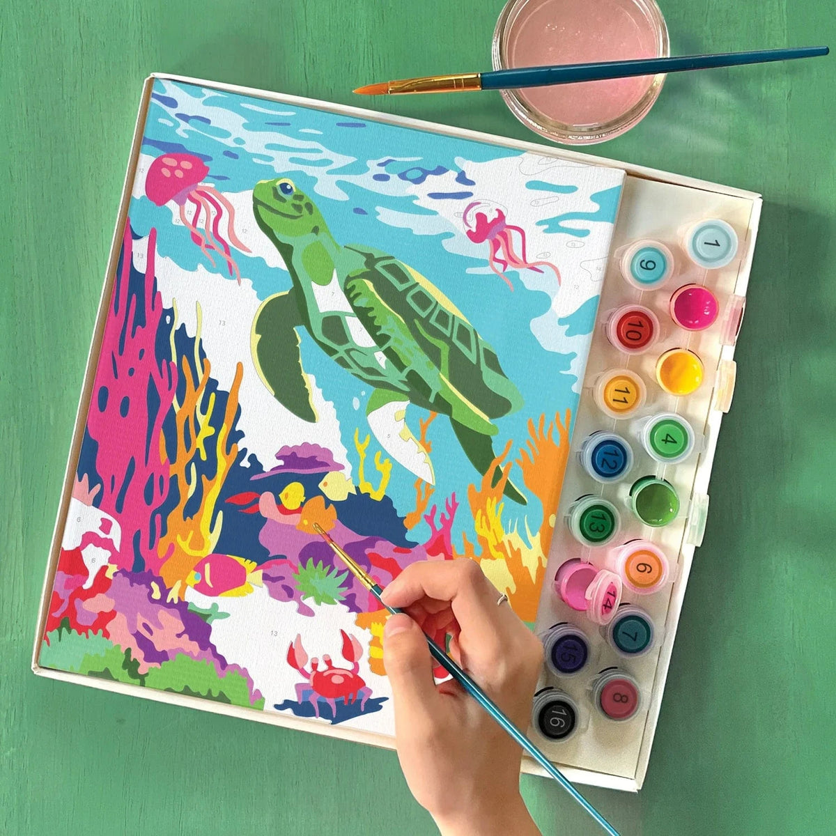 sea turtle paint by numbers drawing
