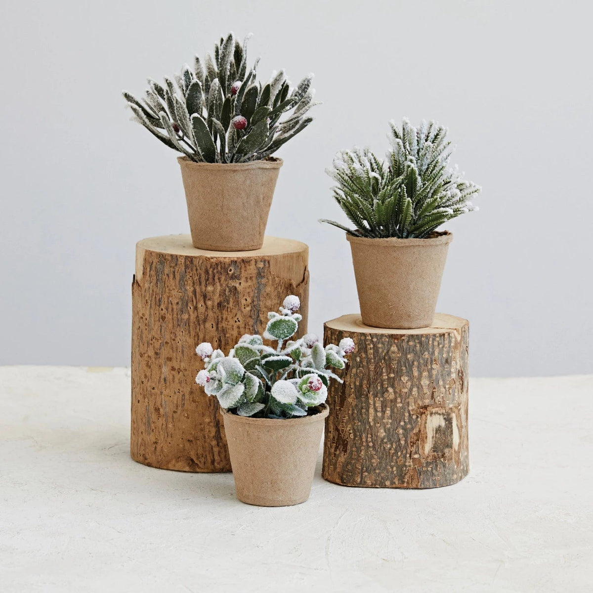 Creative Co-op Creative Co-op Faux Greens with Red Berries in Paper Mache Pot, Snow Finish, 3 Styles - Little Miss Muffin Children & Home