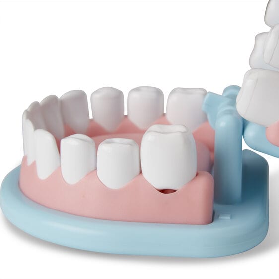Melissa & Doug Melissa & Doug Super Smile Dentist Play Set - Little Miss Muffin Children & Home