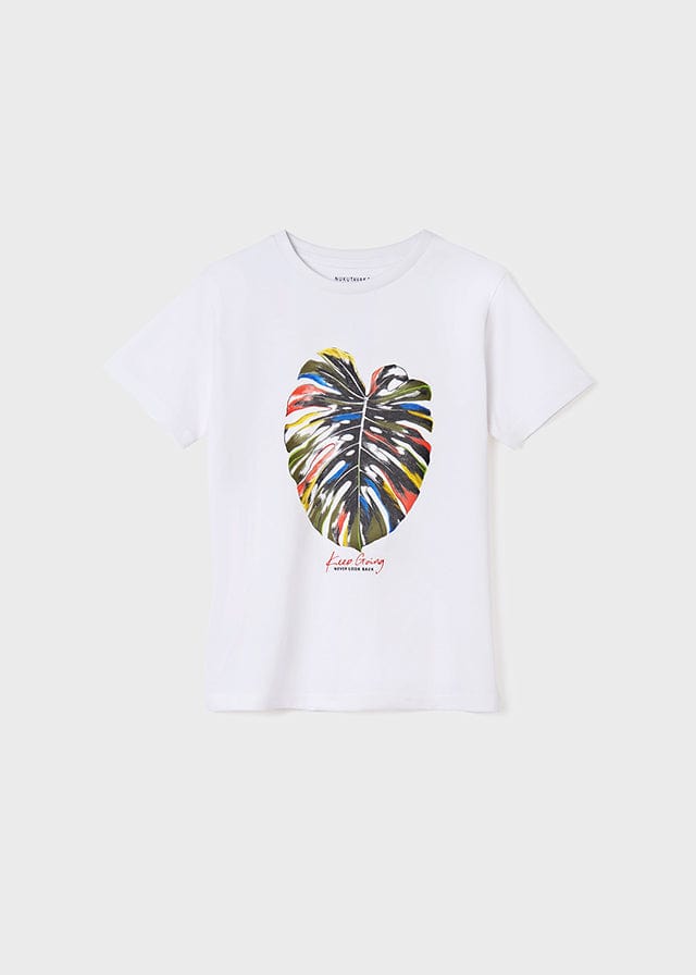 Mayoral Mayoral 6.011 Turtle Green Short Sleeve T-Shirts (2 Styles) - Little Miss Muffin Children & Home