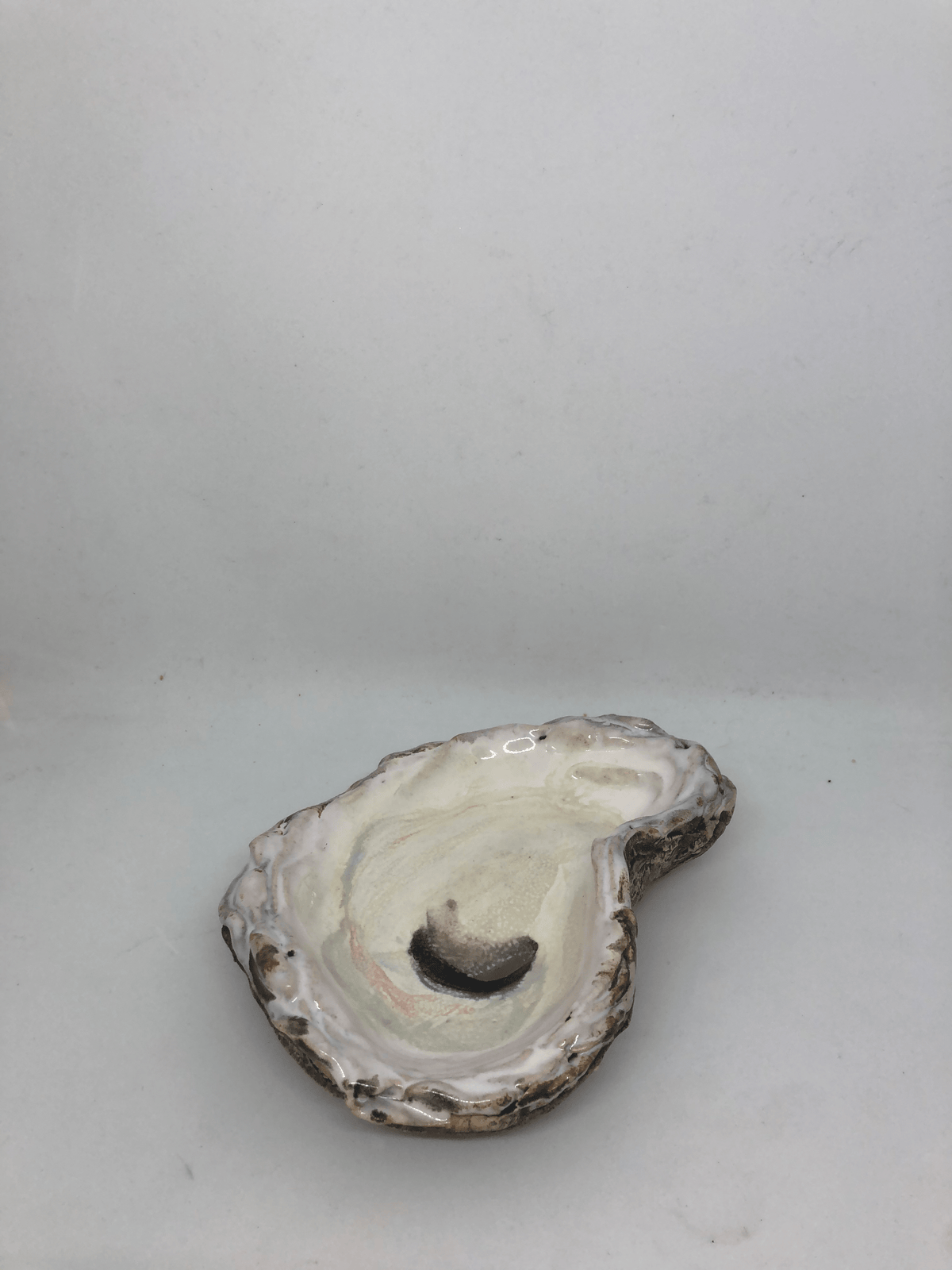 Seagem Studios - Oyster Beauty Large - Little Miss Muffin Children & Home