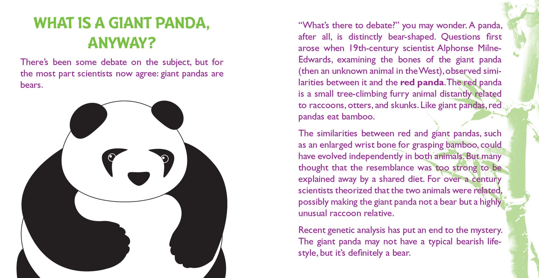 Peter Pauper Press Peter Pauper Press Hug a Panda Kit - Little Miss Muffin Children & Home