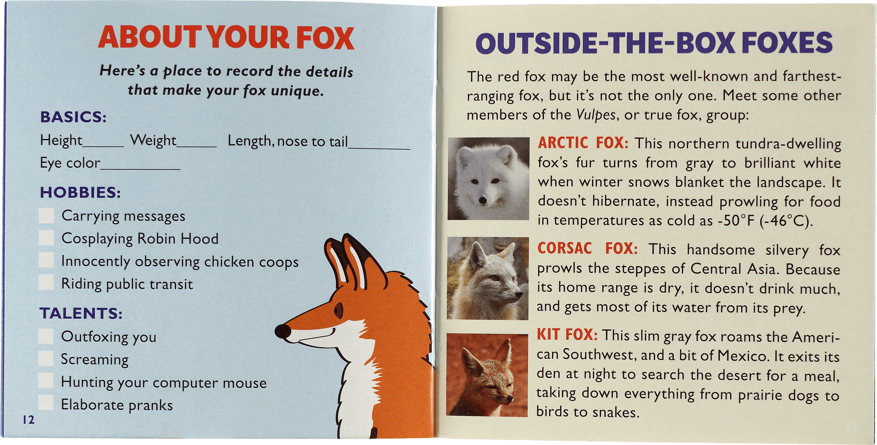Peter Pauper Press Peter Pauper Press Hug a Fox Kit - Little Miss Muffin Children & Home