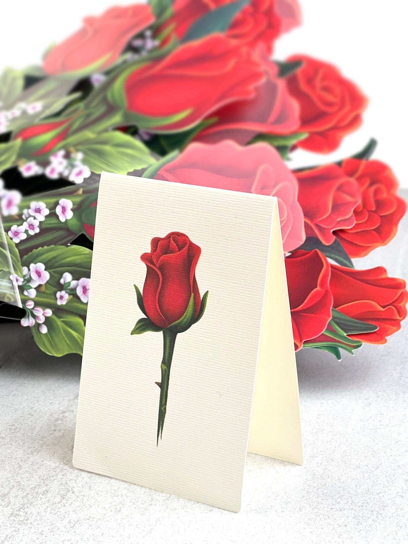 FreshCut Paper FreshCut Paper Red Roses - Little Miss Muffin Children & Home