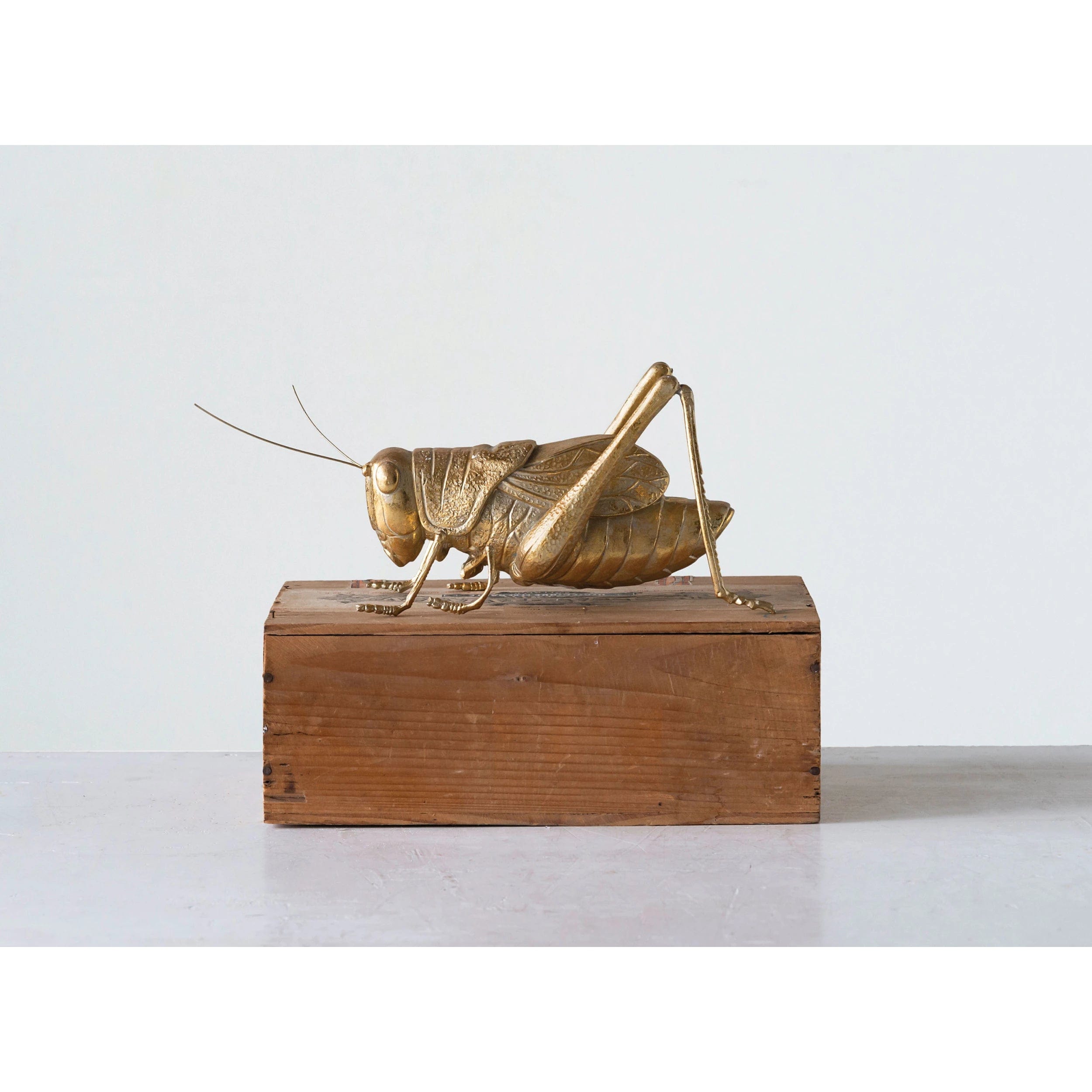 Creative Co-op Creative Co-op Resin Cricket - Little Miss Muffin Children & Home