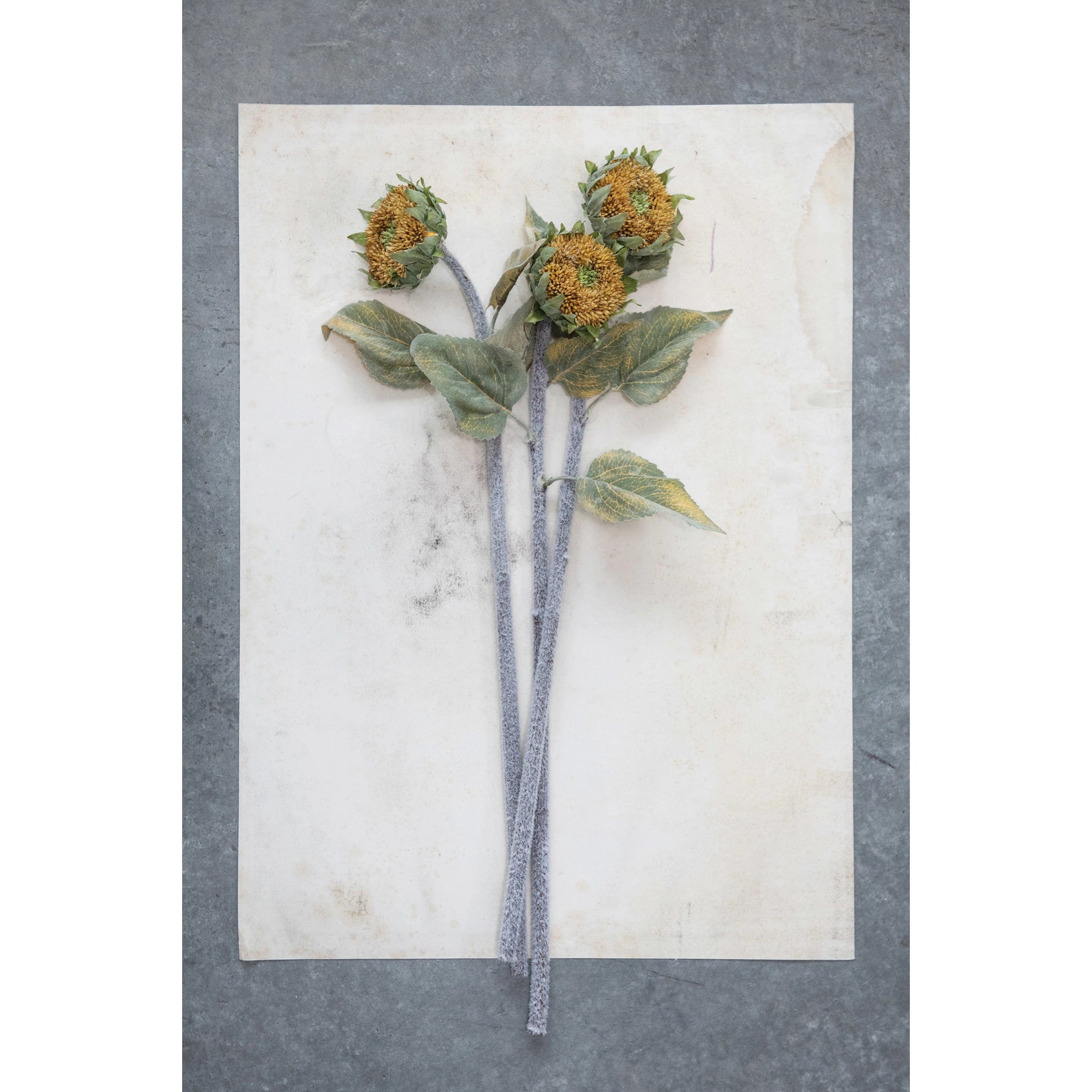 Creative Co-op Creative Co-op Faux Sunflower Stem - Little Miss Muffin Children & Home