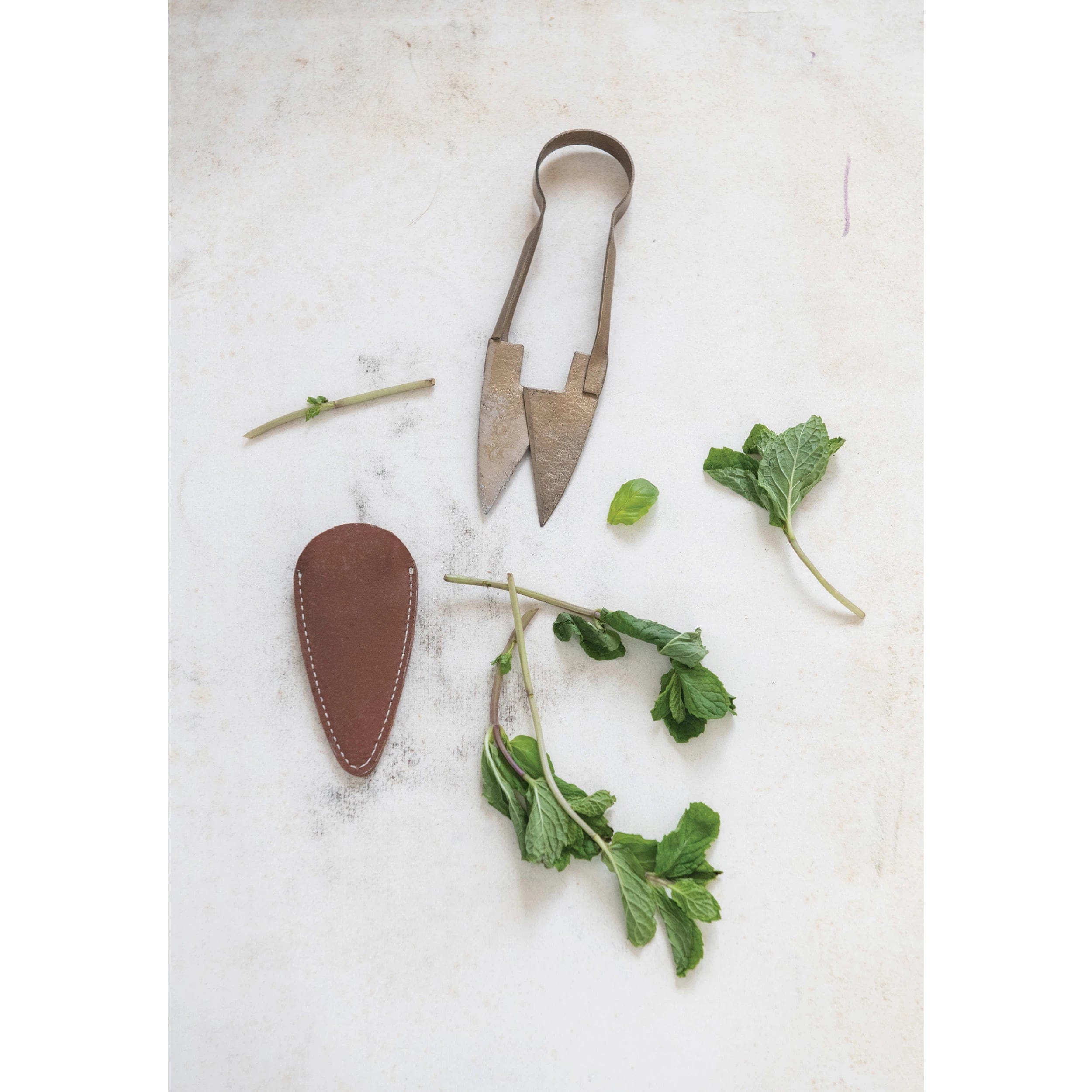 Creative Co-op Creative Co-op Garden Shears + Leather Case - Little Miss Muffin Children & Home