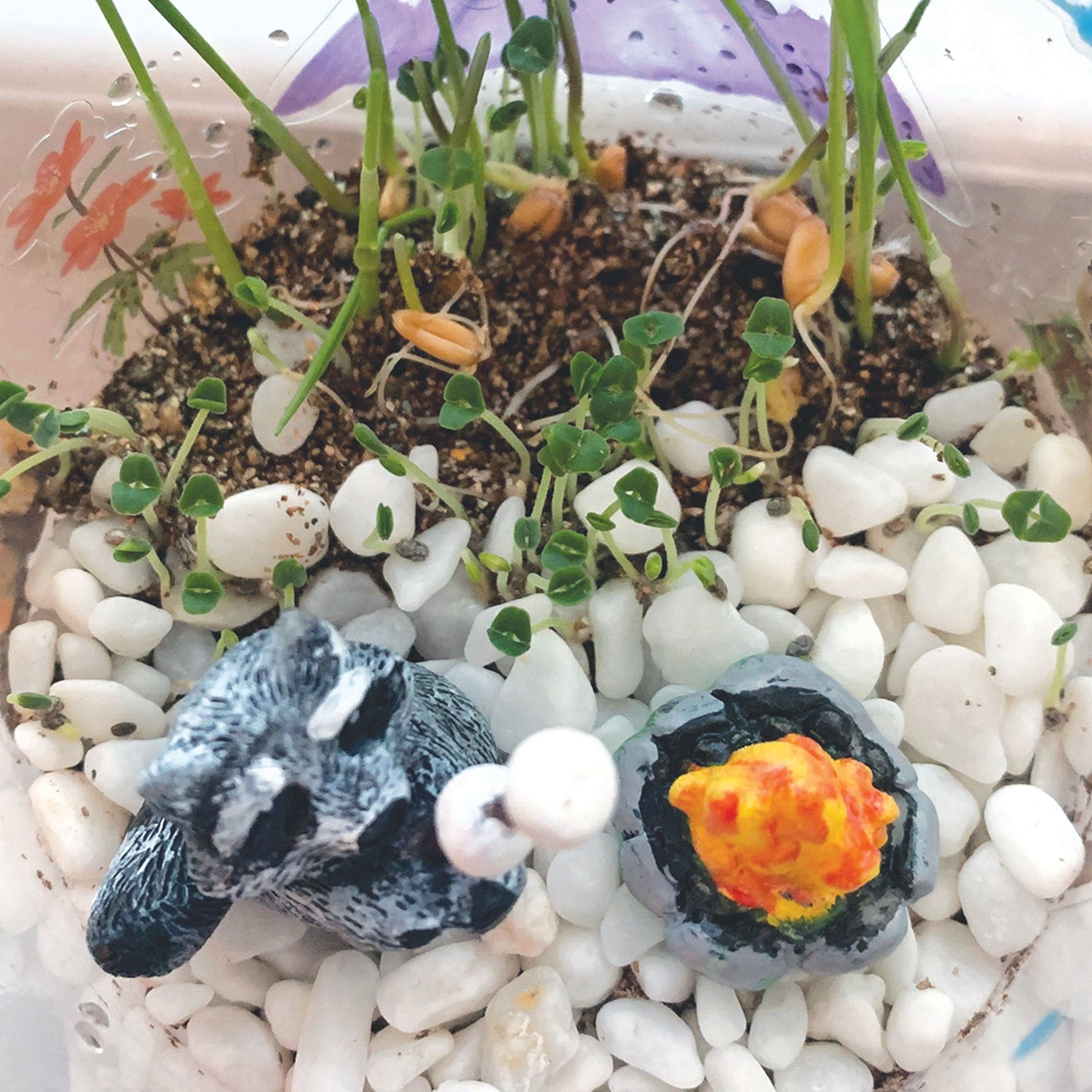 Faber-Castell Faber Castelle Grow N Glow Terrarium - Little Miss Muffin Children & Home